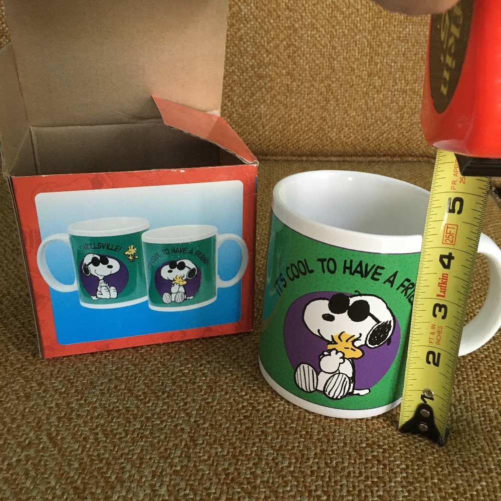 Peanuts Friendship 12oz Mug by Vandor